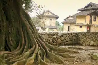 Village de Changjiao 长教村