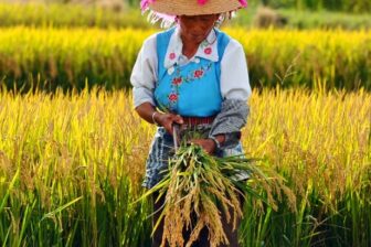 Découverte active de la Chine