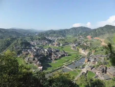 Avis Famille Fonciotto Chine
