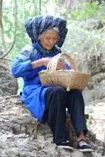 Avis Marion Chine