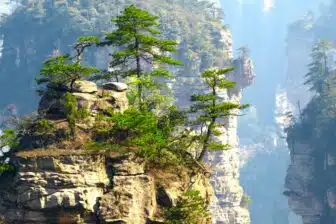 Merveilles naturelles de Chine en petit groupe – 2026 (19 jours) – Image 4