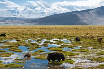 Lac Karakul - 喀拉库勒湖