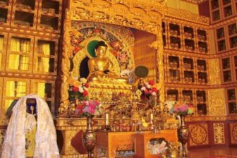 Musée de la médecine tibétaine - 藏文化博物馆