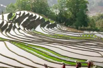 Merveilles du Yunnan – Image 5
