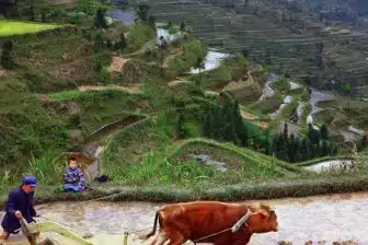 Trilogie du Sud Ouest : Sichuan, Tibet et Yunnan – Image 26