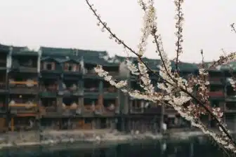 Voyage à travers le Hunan – Image 6