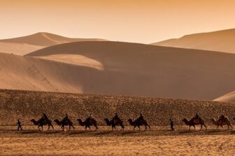 Désert de Badain Jaran à chameau