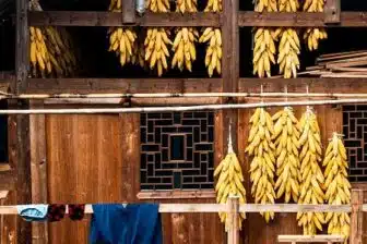 Immersion chez les minorités du Guizhou et du Guangxi – Image 20