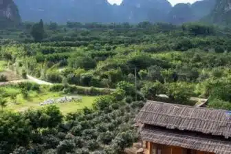 Paysages karstiques de Yangshuo et rizières en terrasses de Longji - 5 jours – Image 7