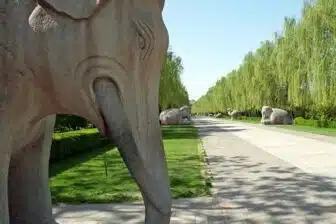 La grande route de la Soie de Pékin à Samarcande – Image 9