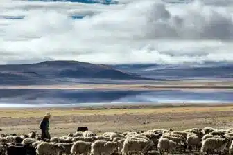 Tour du lac Qinghai à vélo – Image 6