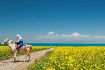 Tour du lac Qinghai à vélo