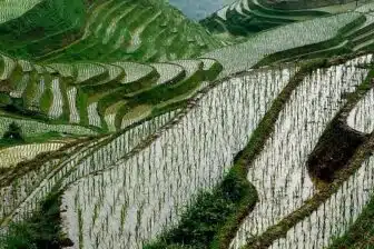Paysages karstiques de Yangshuo et rizières en terrasses de Longji - 5 jours – Image 3