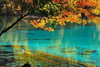 Classiques du Sichuan – Image 5