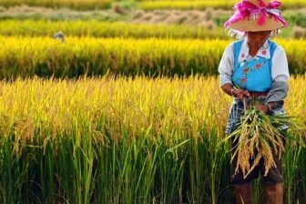 Route de Kunming à Chengdu