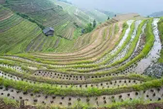 Rizières Ping'an - Longsheng - 平安 龙胜