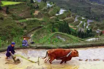 Rongjiang - 榕江