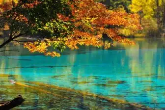 Trilogie du Sud Ouest : Sichuan, Tibet et Yunnan – Image 10