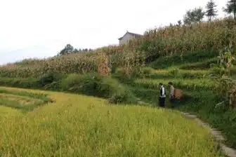 Découverte de la province du Hubei – Image 5