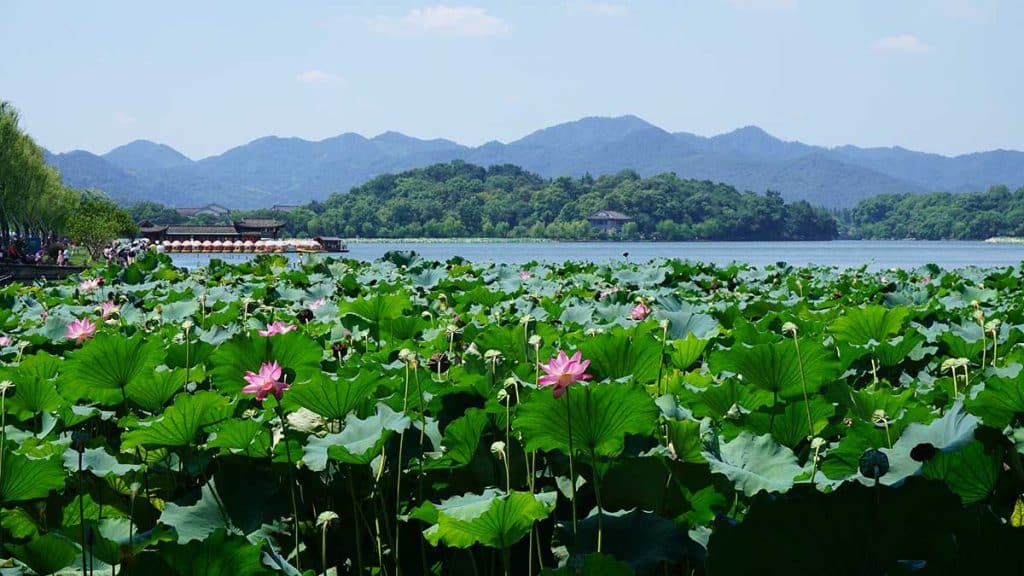 Lac Xi à Hangzhou