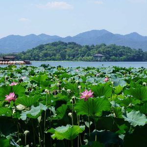 Lac Xi à Hangzhou