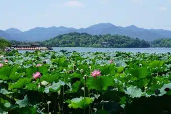 Lac Xi à Hangzhou