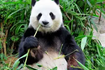 Premier voyage en Chine – Image 9