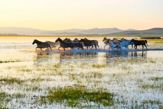 Mongolie Intérieure 内蒙古