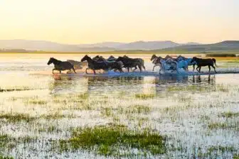 Mongolie Intérieure 内蒙古