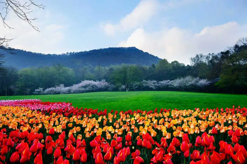Parc de Taiziwan