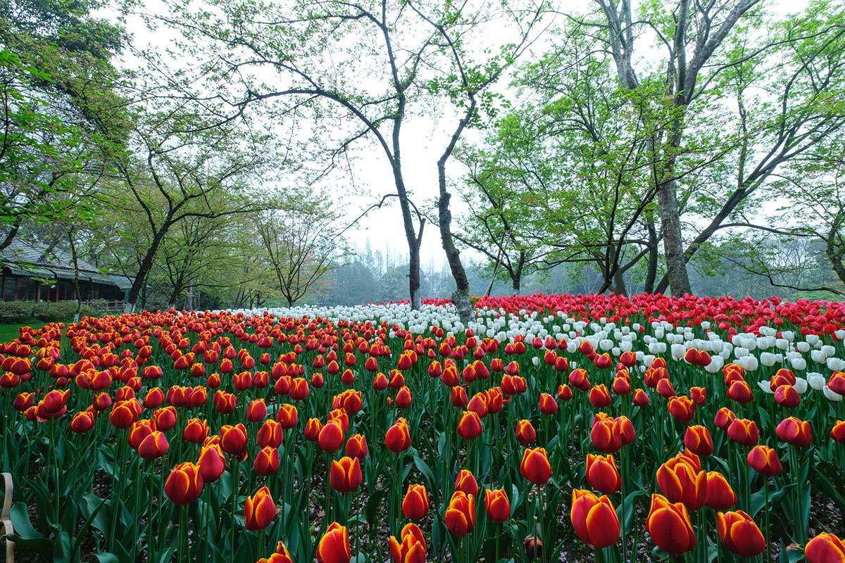 Taiziwan Park in Hangzhou - China Roads