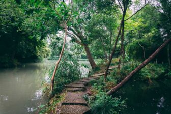 Parc National de Xixi 西溪国家湿地公园