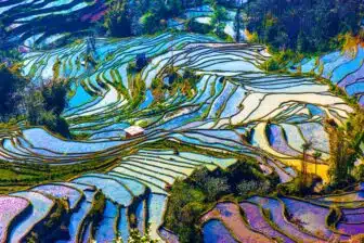 Trilogie du Sud Ouest : Sichuan, Tibet et Yunnan – Image 28