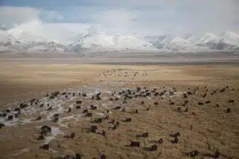 Tibet sur le Toit du monde – Image 6