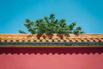 Aux confins de la Chine – Image 3