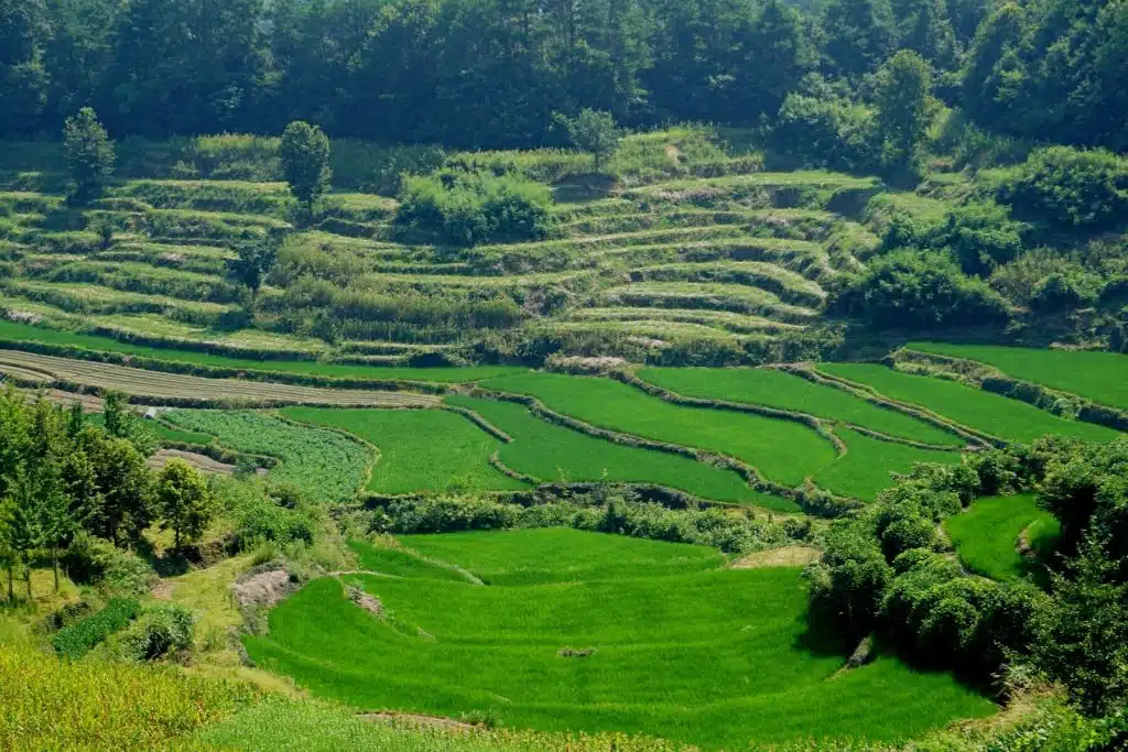 Chengkan-Anhui