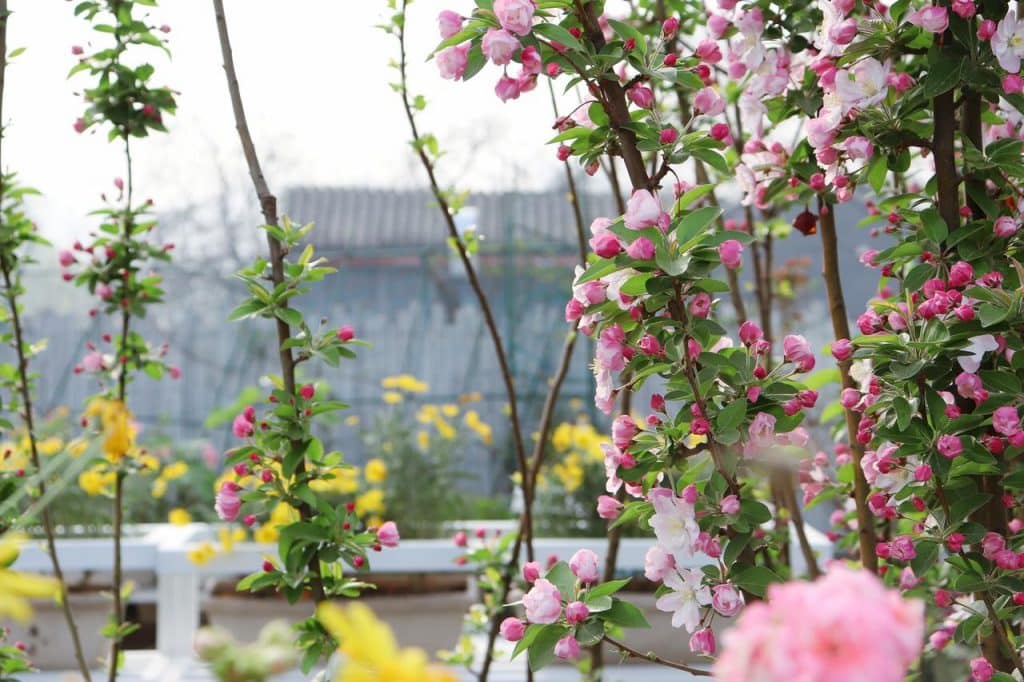 Peking Garden Boutique Hotel