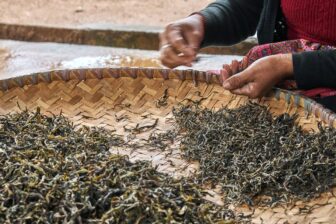 Les Trésors du Thé