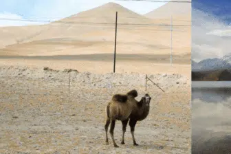 La grande route de la soie en petit groupe, de Pékin à Samarcande – Image 15