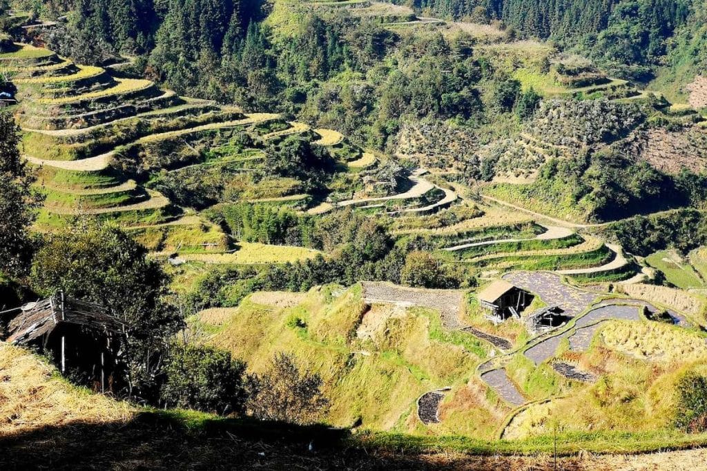 China Roads - Guangxi - Danian 1