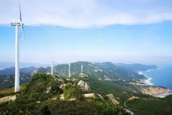 Atmosphère méridionale sur les côtes du Guangdong – Image 14