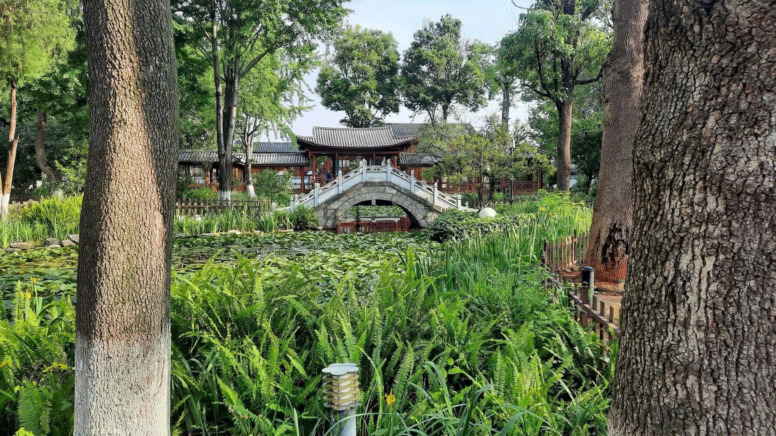 Mireille et Marie Claire – Yunnan en petit groupe – octobre 2024