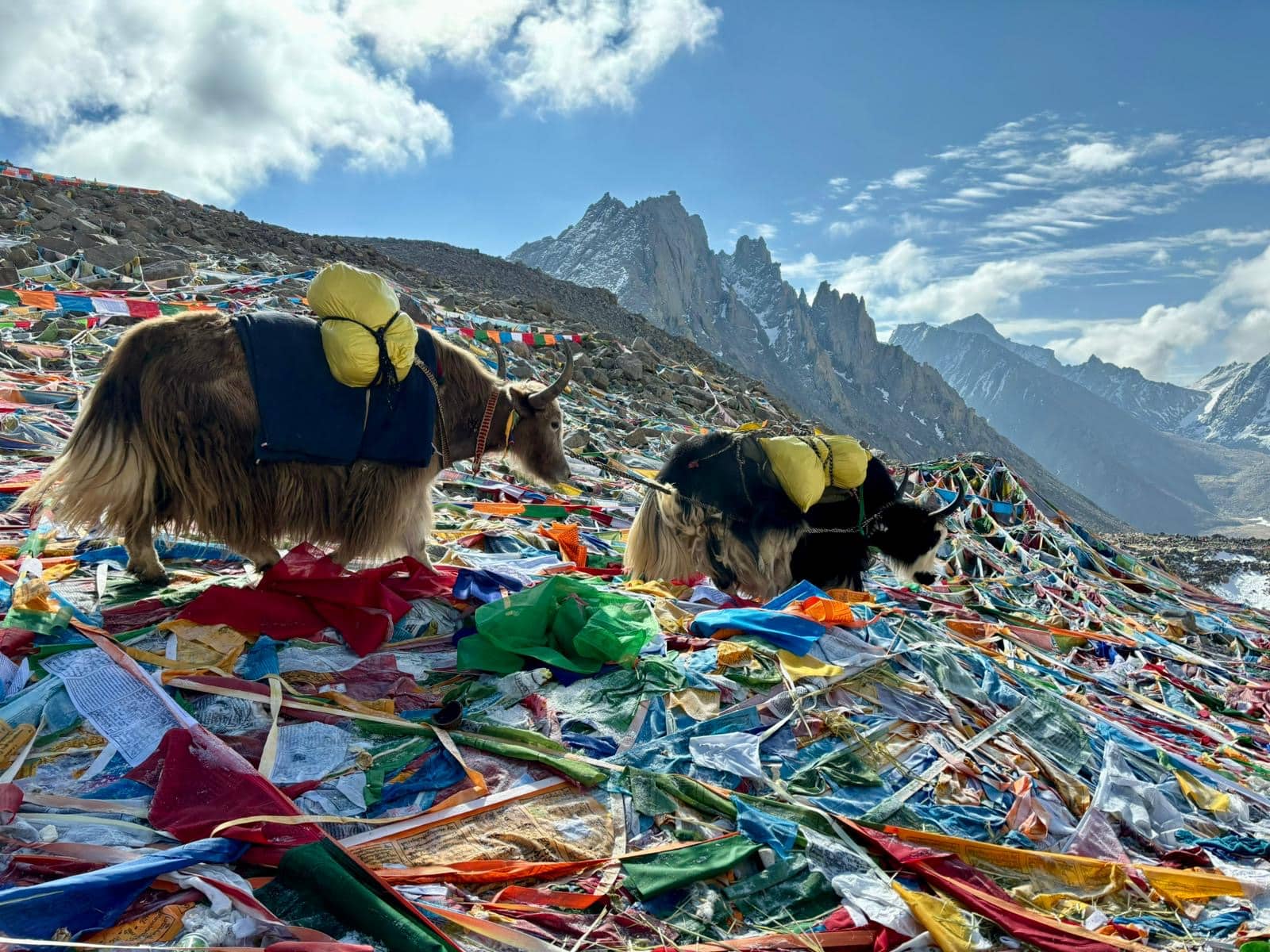 Entre Ciel et Terre : Pèlerinage sur les Hauts Plateaux Tibétains – Image 7
