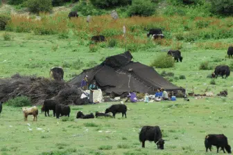 Chine tibétaine, hors sentiers battus – Image 4