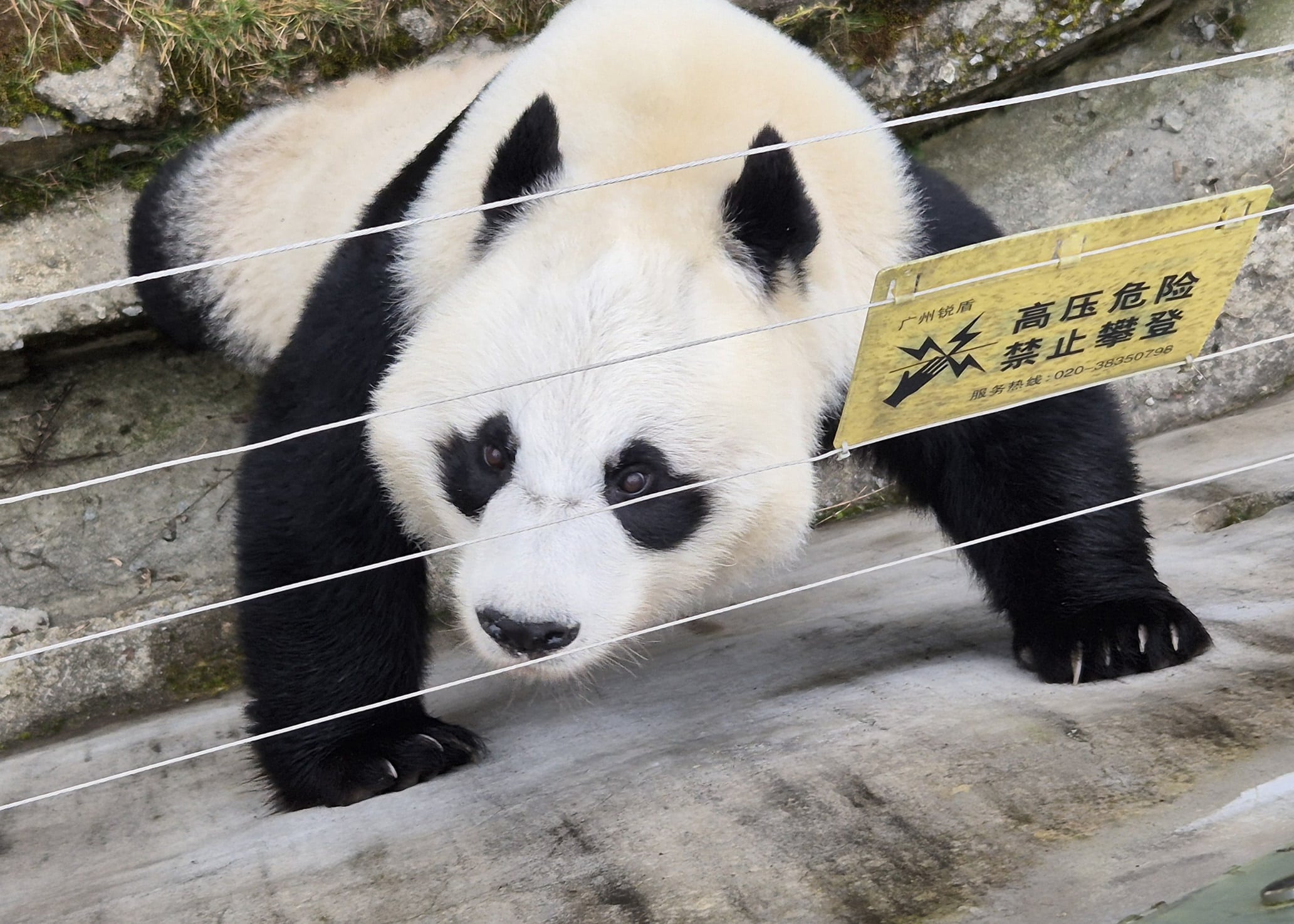 Cécile – découverte du Sichuan – 1 au 10 novembre 2024