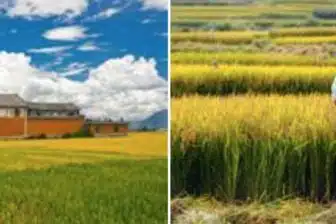 Merveilles du Sichuan et du Yunnan – Image 8