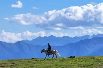 Randonnée à cheval au Sichuan : des Sommets aux Prairies – Image 8