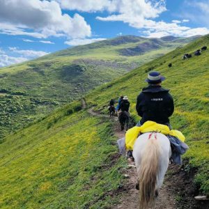 Randonnée à cheval au Sichuan : des Sommets aux Prairies