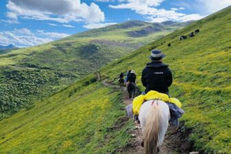 Randonnée à cheval au Sichuan : des Sommets aux Prairies