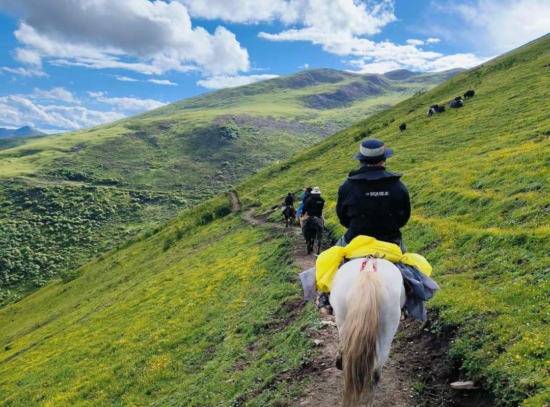 Randonnée à cheval au Sichuan : des Sommets aux Prairies